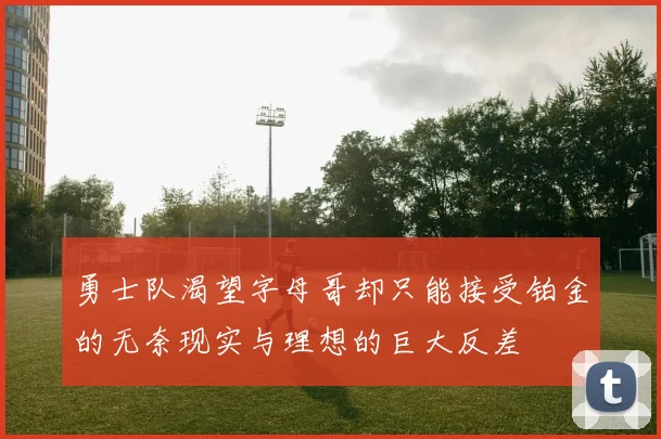 勇士队渴望字母哥却只能接受铂金的无奈现实与理想的巨大反差